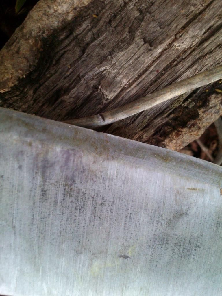 DSC_0810_zpsa2ac2c5a.jpg