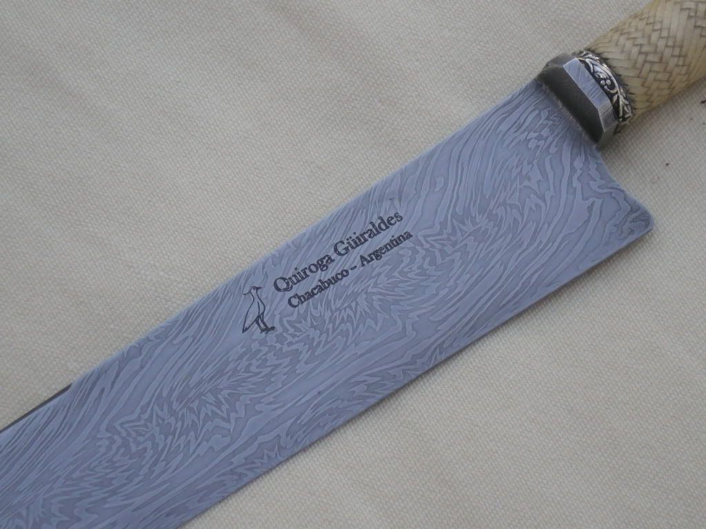 DSCN0772.jpg