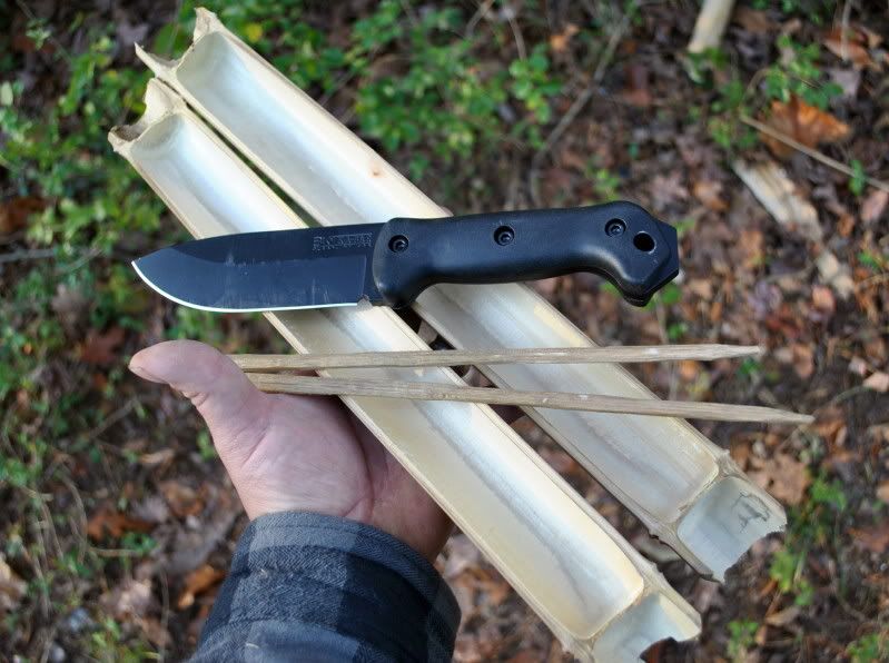 24bamboo6.jpg