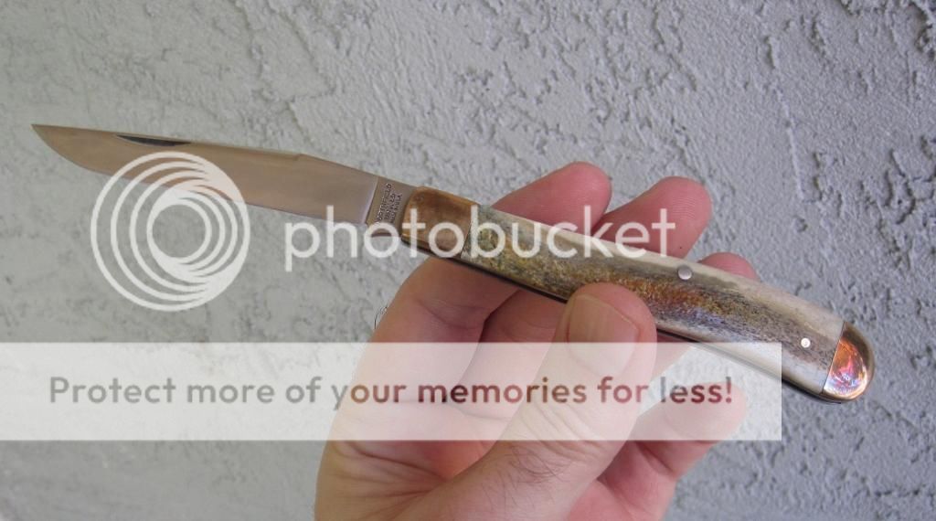 IMG_3141_zps8e5a5ad7.jpg~original