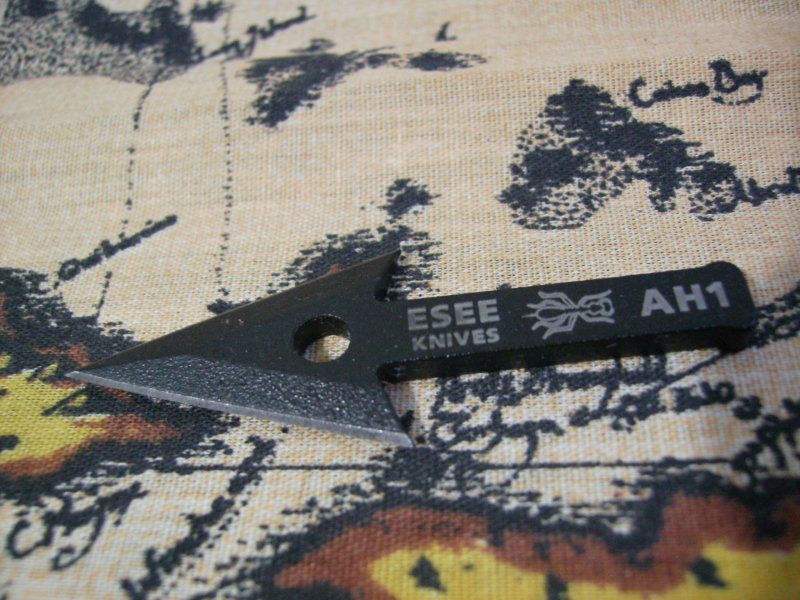 SANY0090.jpg