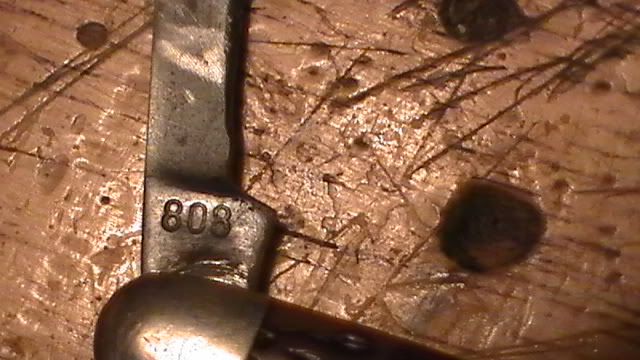 H1950003.jpg