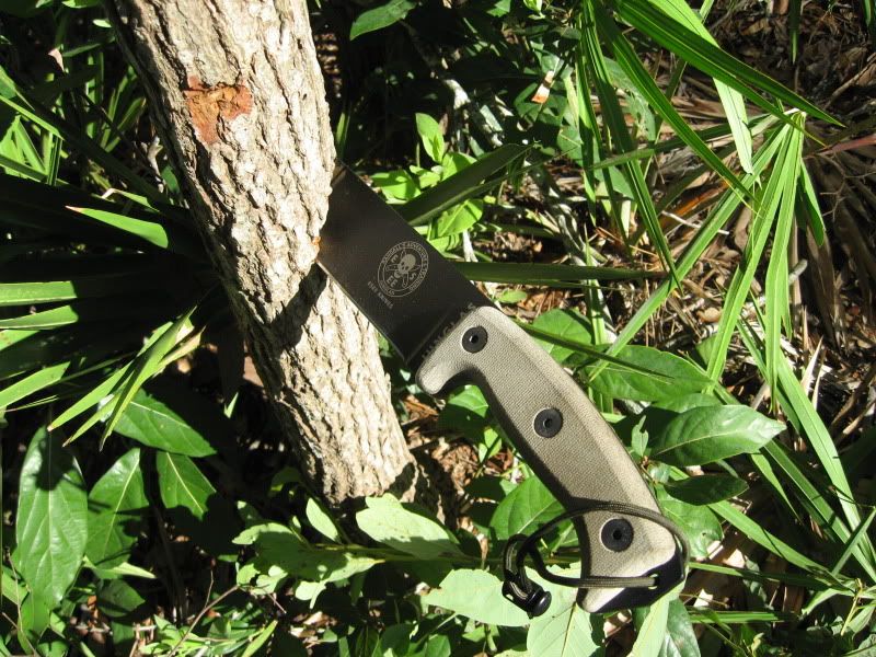 Junglas005-1.jpg