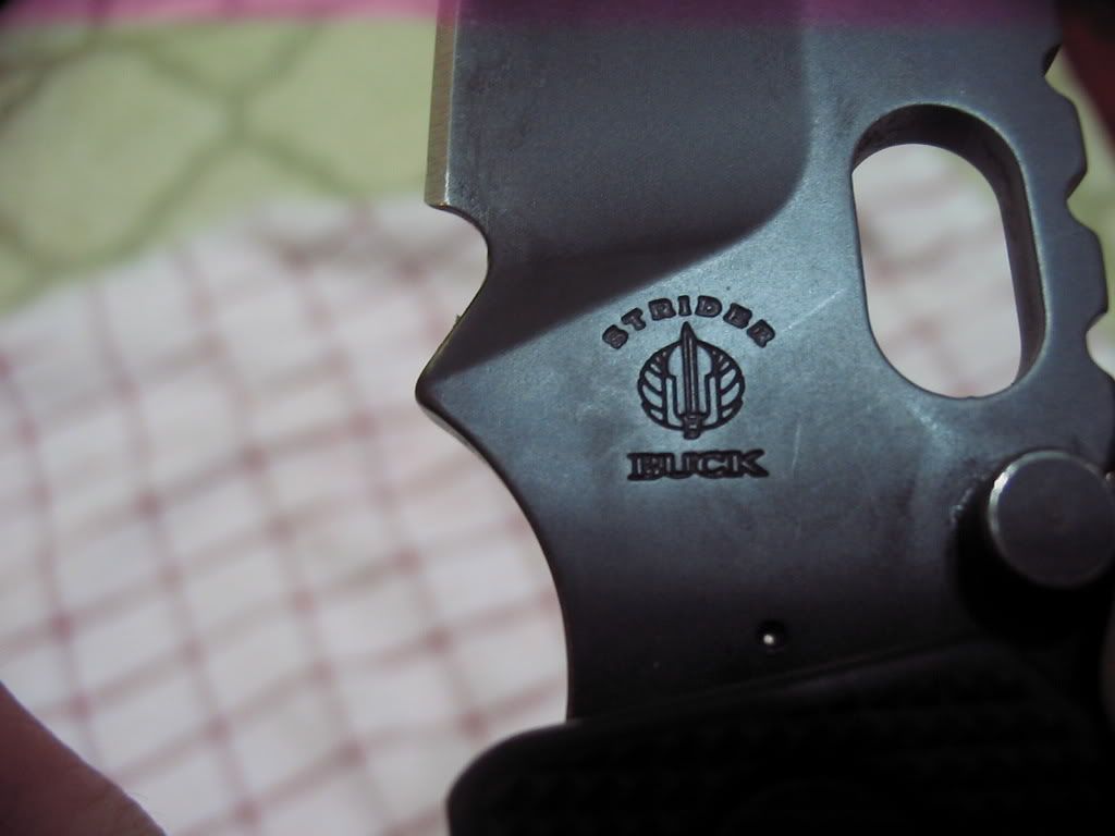 1777striderandtraders004.jpg