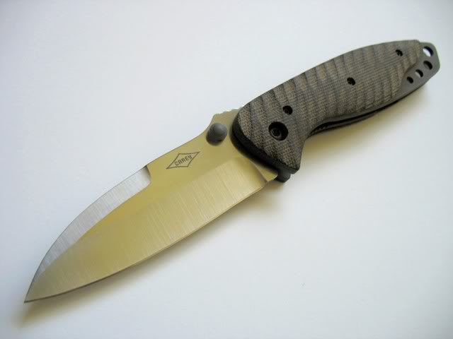 carey001.jpg