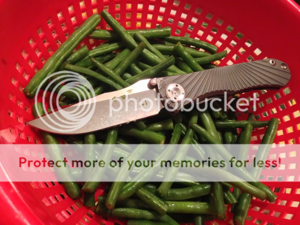 photo_zpsb9835ff2.jpg