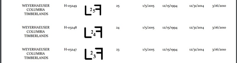 YLMKcM2.jpg