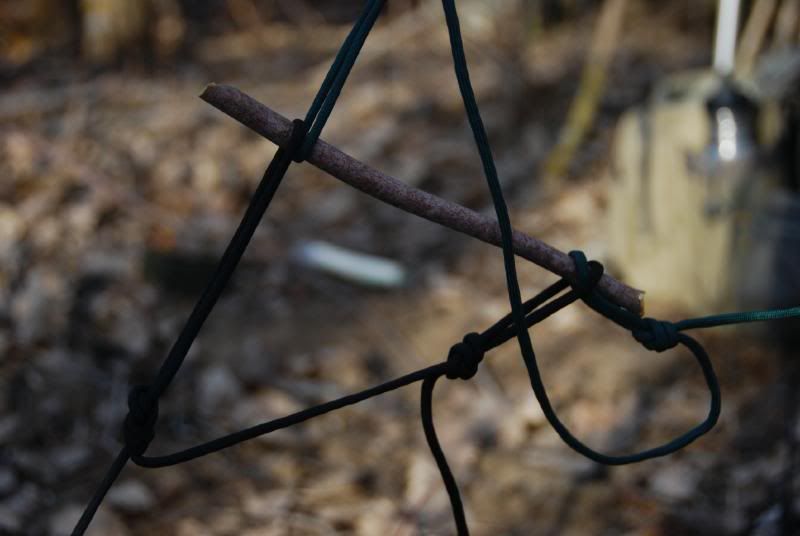 DSC_4350.jpg