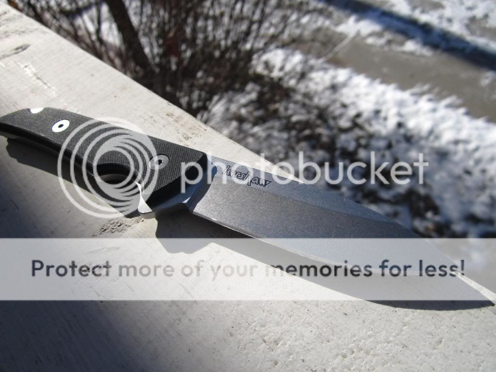 IMG_0926_zps16c35adb.jpg