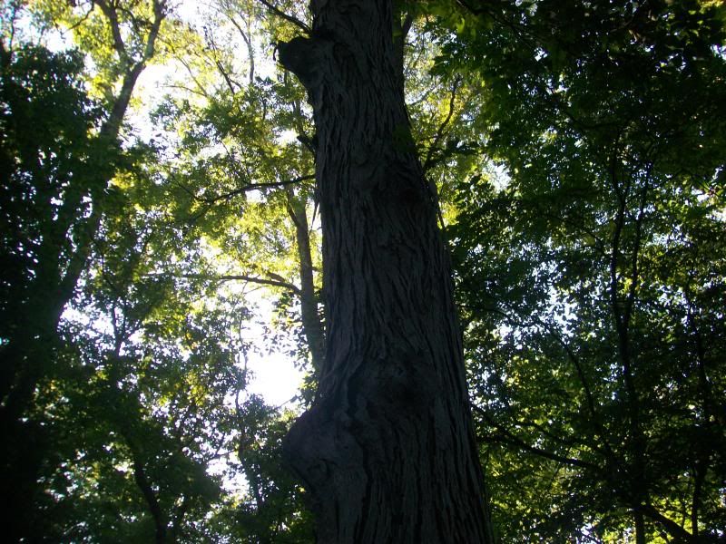 Picture015.jpg