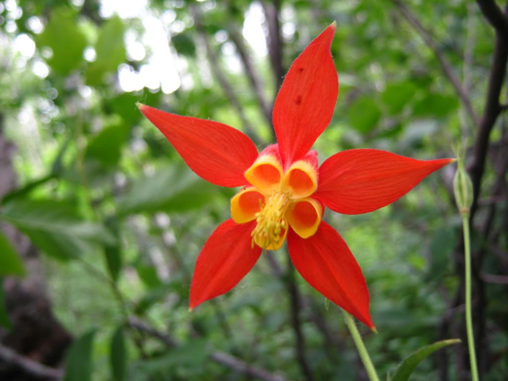 July032010040.jpg