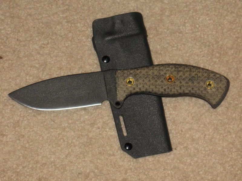 busse002.jpg