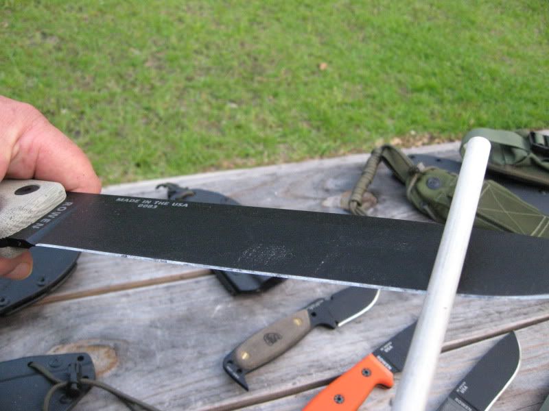 ESEESHARP011.jpg