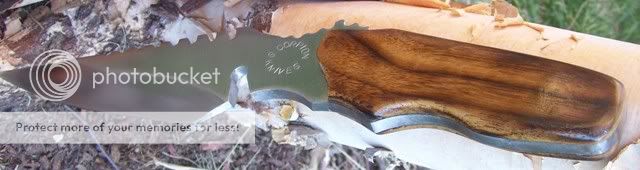 100_3793.jpg