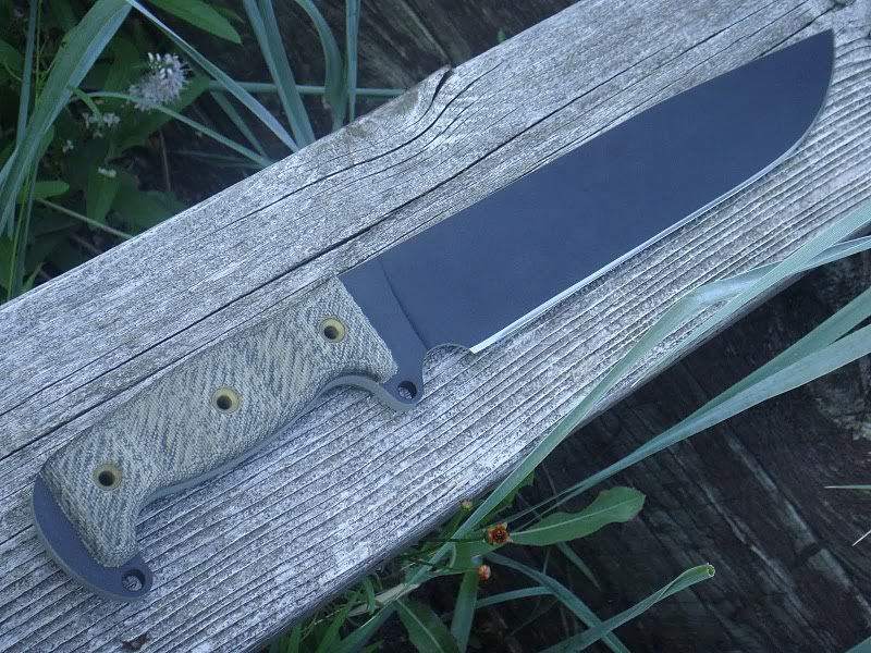 Busse-SHBM-2.jpg