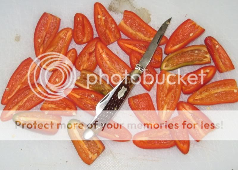 899_peppers_seeded.jpg
