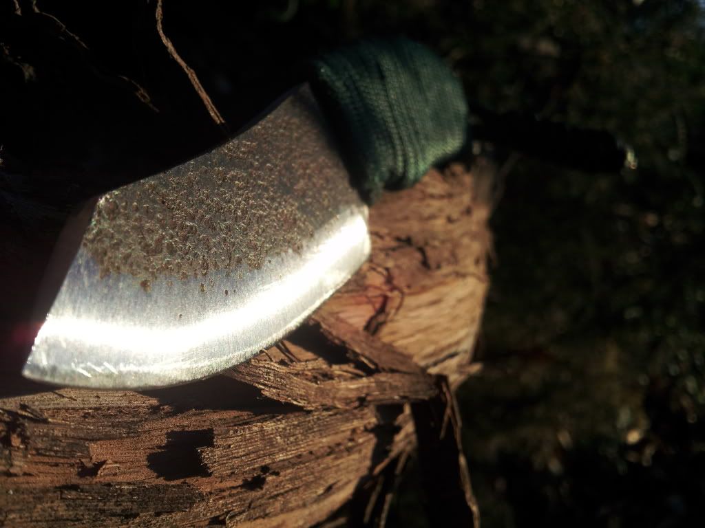 20130106_162421.jpg