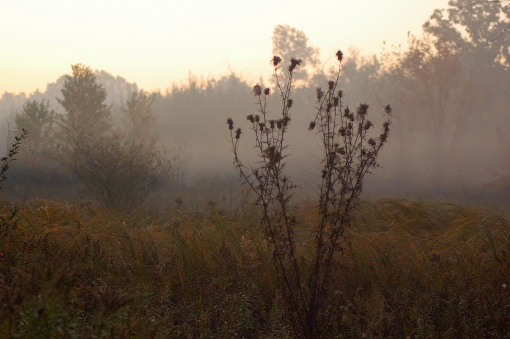 DSC_0019-8.jpg