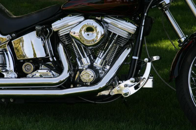 84Softail046.jpg
