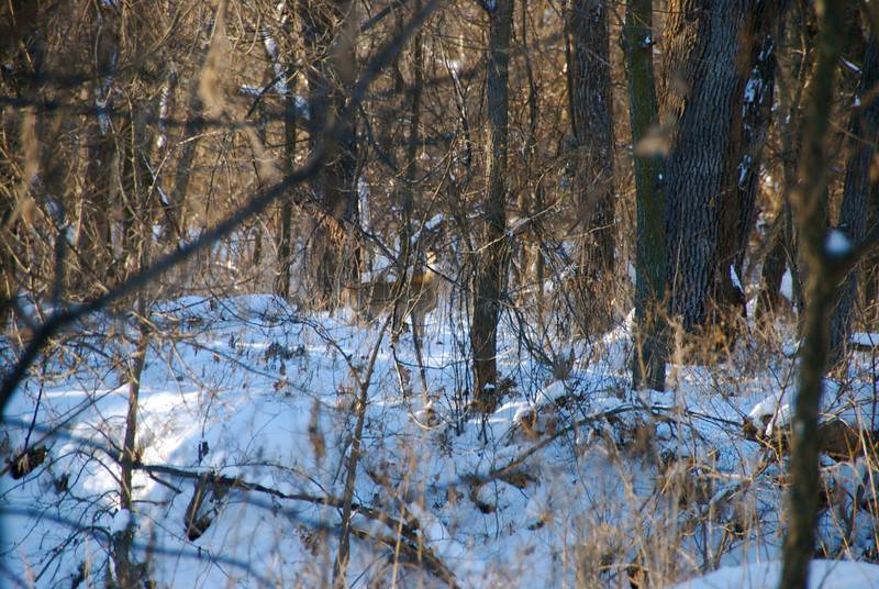 760435221_d6dpS-L.jpg