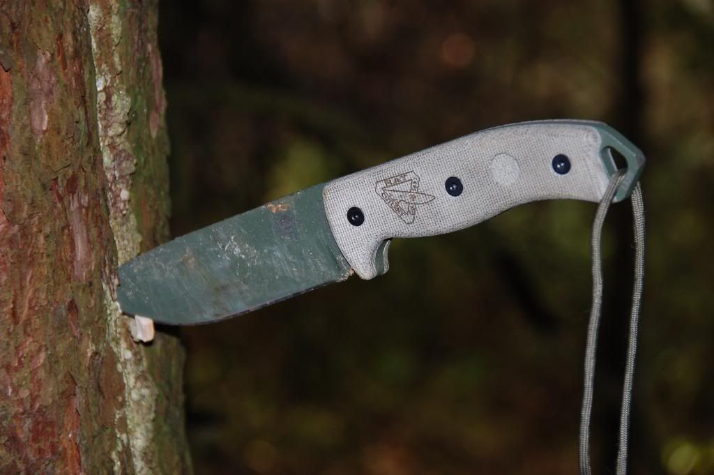 DSC_7554.jpg