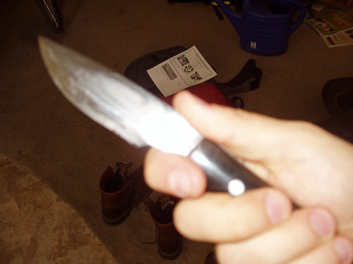 3868571788_dd6a98eff0.jpg
