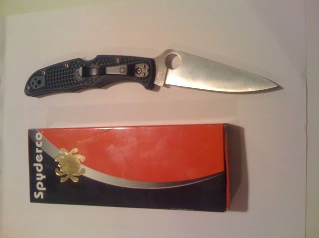 spydy012.jpg
