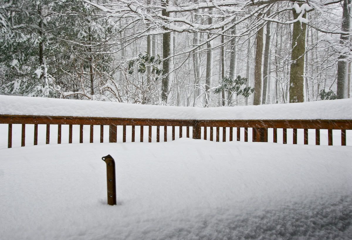 Blizzard_Feb-10-2010e.jpg