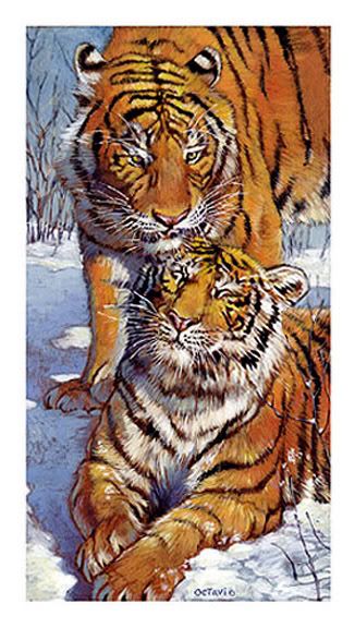 SiberianTigers.jpg
