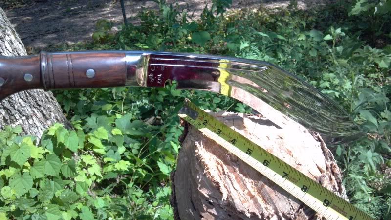 2013-07-05_16-44-45_26.jpg