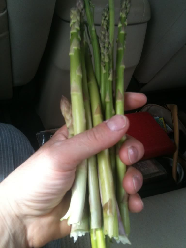 photo-1.jpg