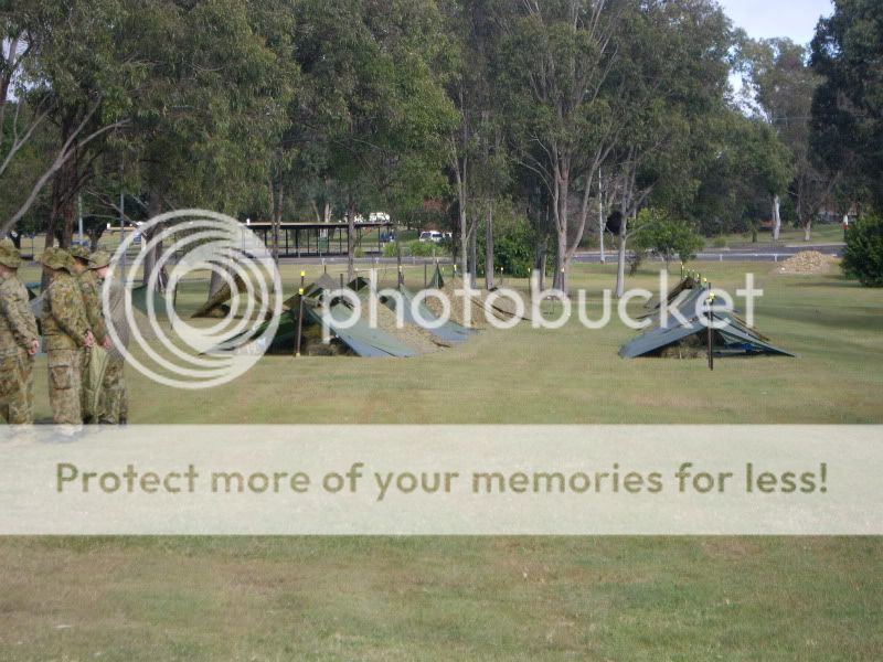 IMGP3778.jpg