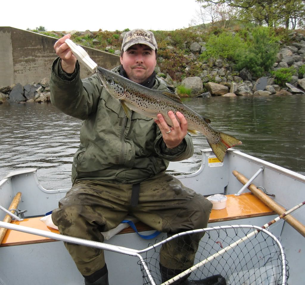LandlockSalmon1-1.jpg