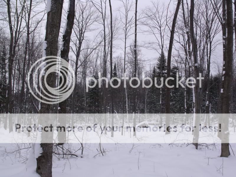 firstsnowshoe2009015.jpg