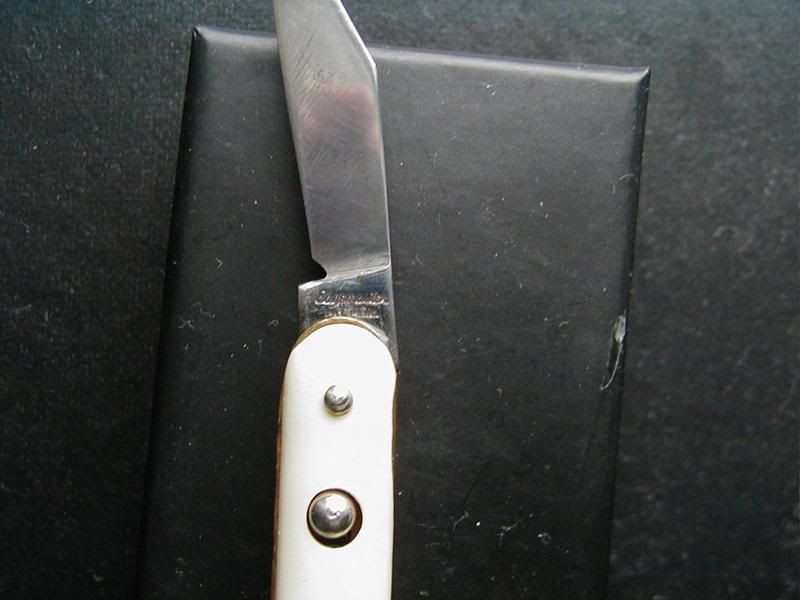 zz111.jpg