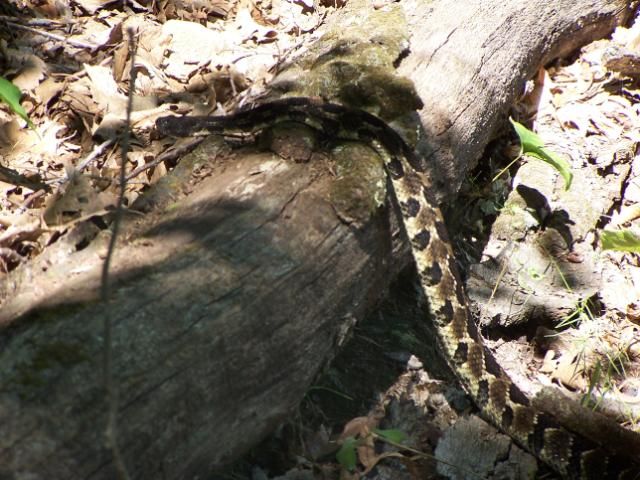 100_5937.jpg