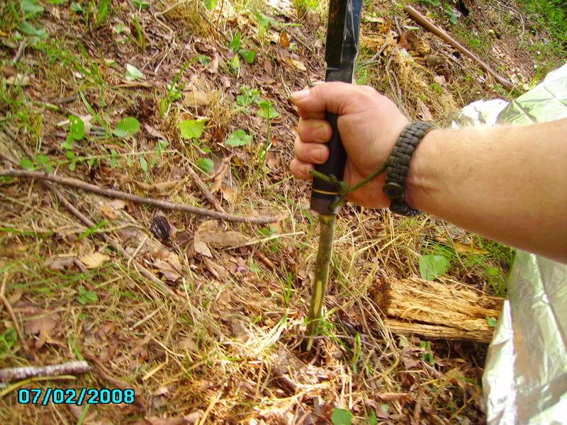 PICT0739.jpg
