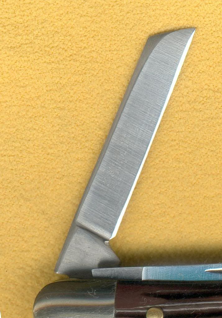 CopingBladeClose.jpg