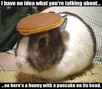 Understand-Bunny_Pancake.jpg