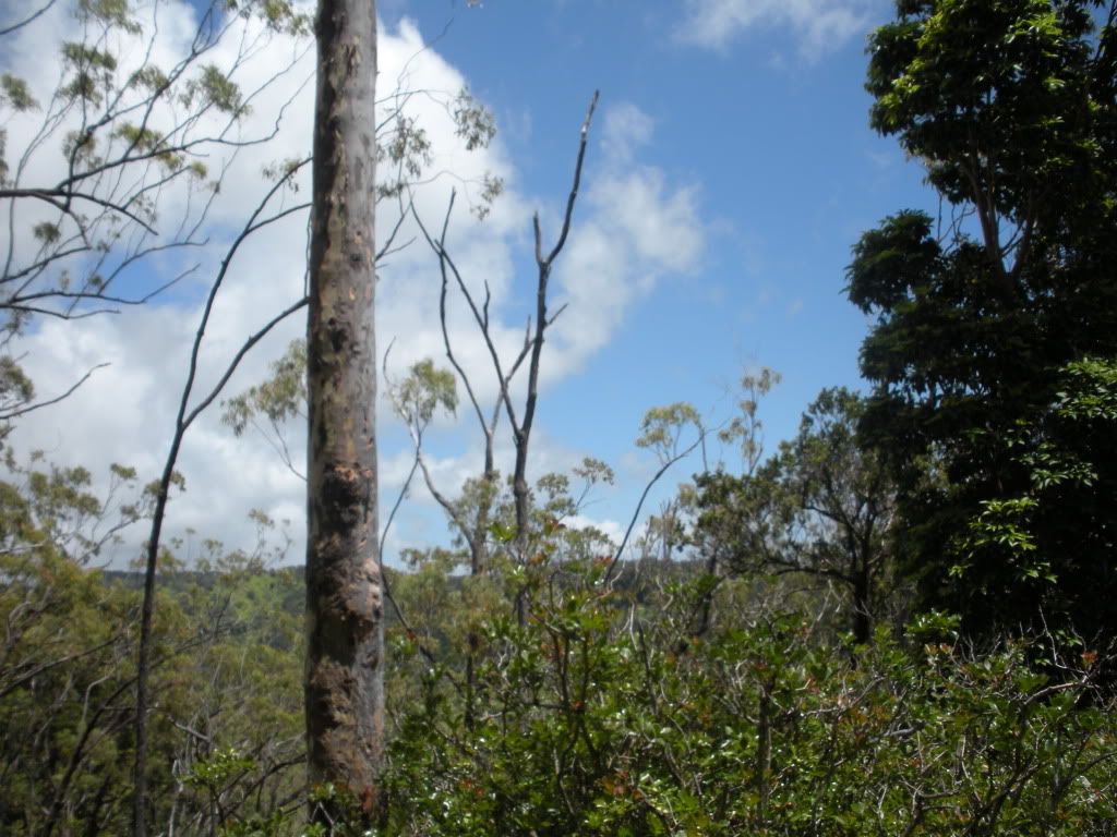 DSCN0955.jpg