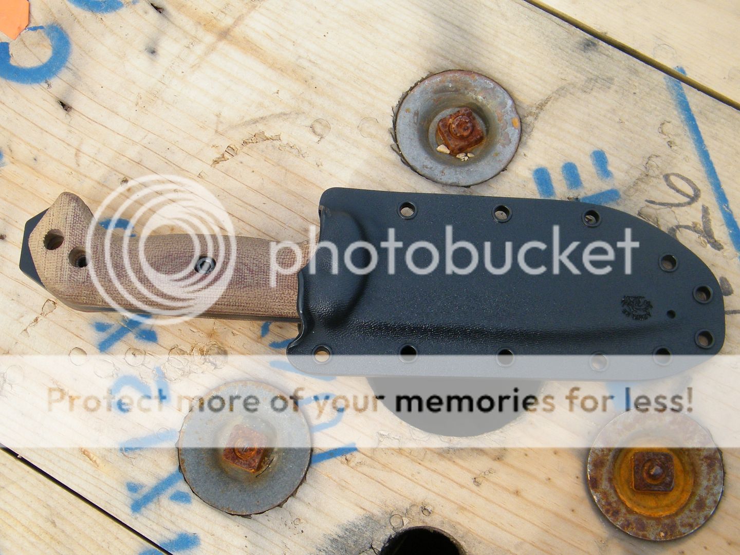DSCF8186.jpg