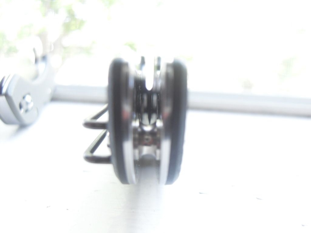 SDC11401.jpg