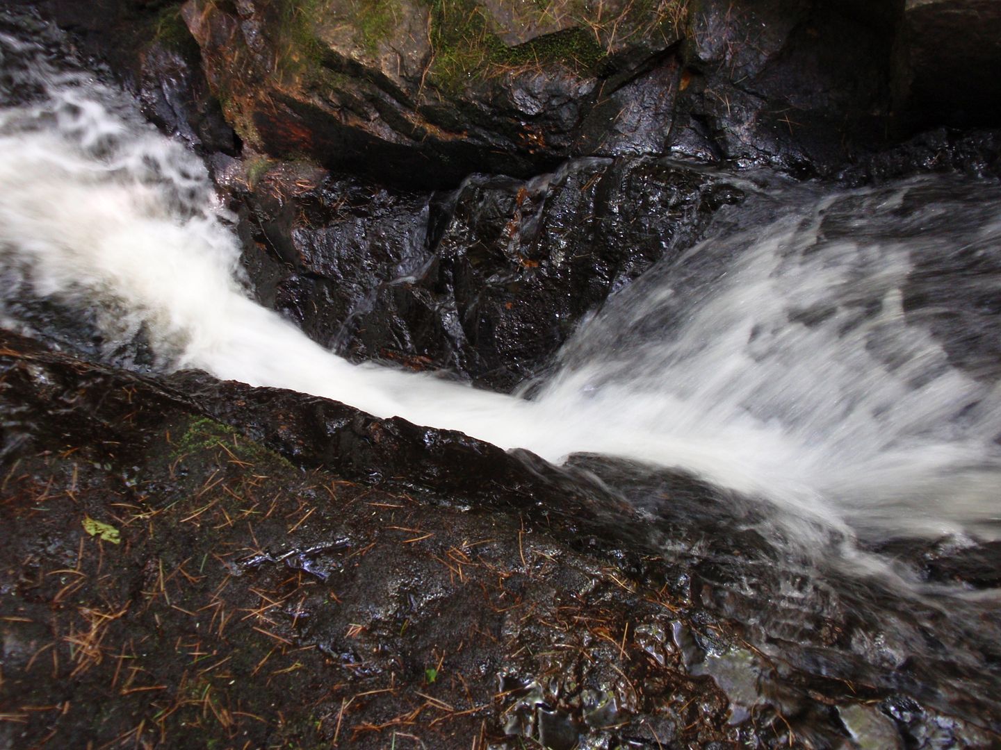 P7150207.jpg