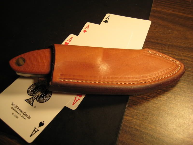 hydranatmicarta002.jpg