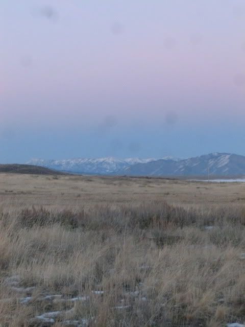 P1020186.jpg