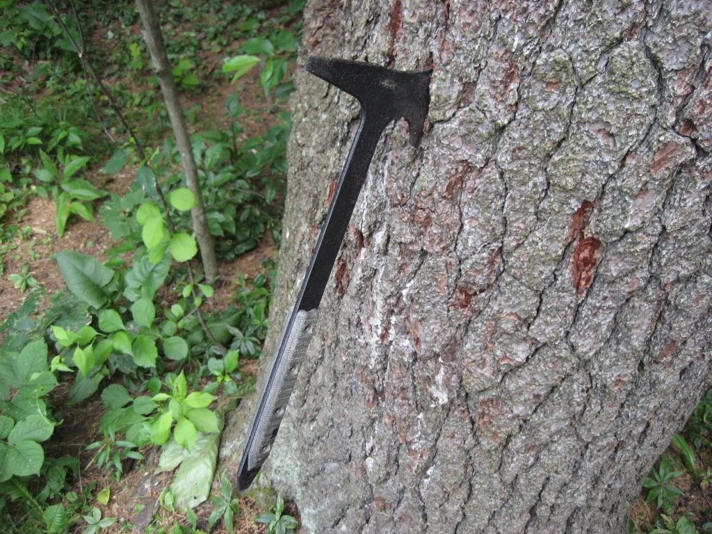 IMG_8554.jpg