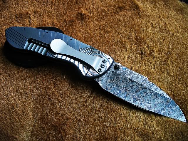 elishewitz008.jpg