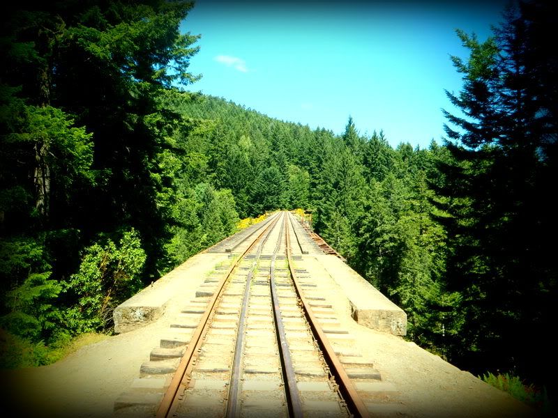 Goldstream2012006.jpg