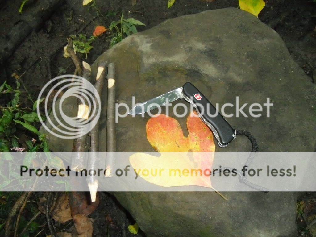 PICT0002-64.jpg