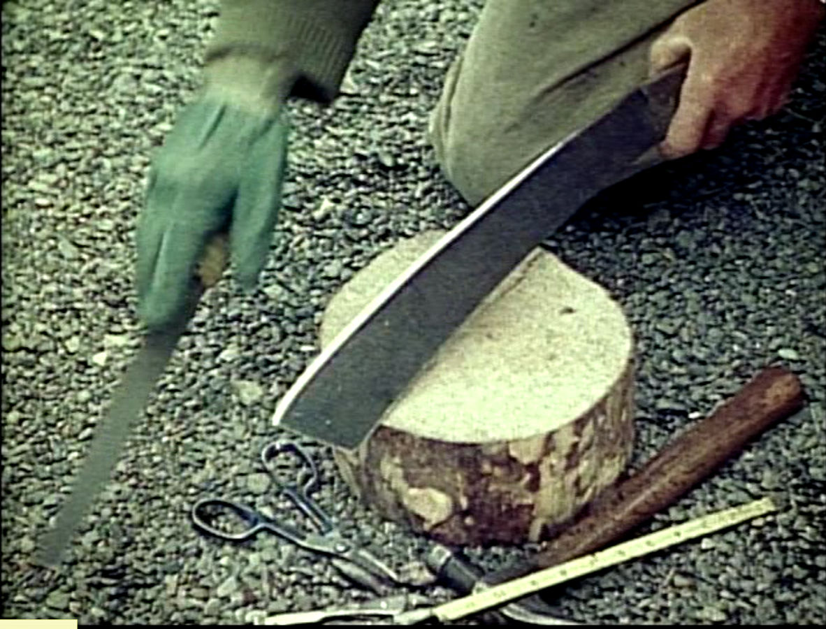 Machete.jpg